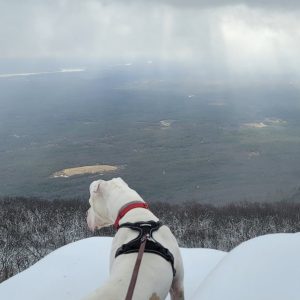 20241124_104525-Copy