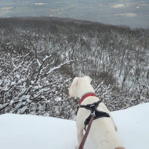 20241124_104528-Copy