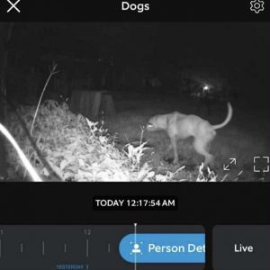 2b1cb04a-4474-4401-8fb1-c3a2be4194d0