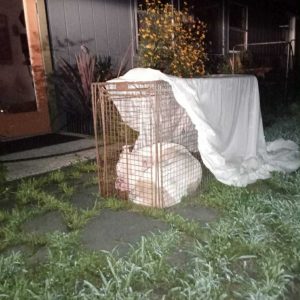 c4e1431e-716b-468c-a0b6-a6bd06834a88